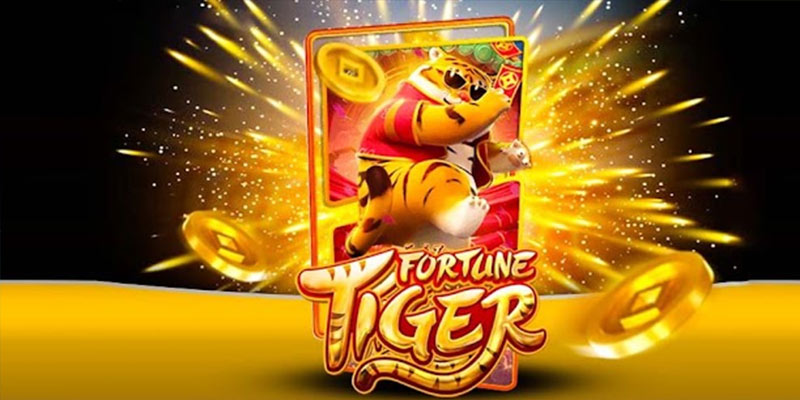 Quem é o Fortune Tiger 668bet.Com